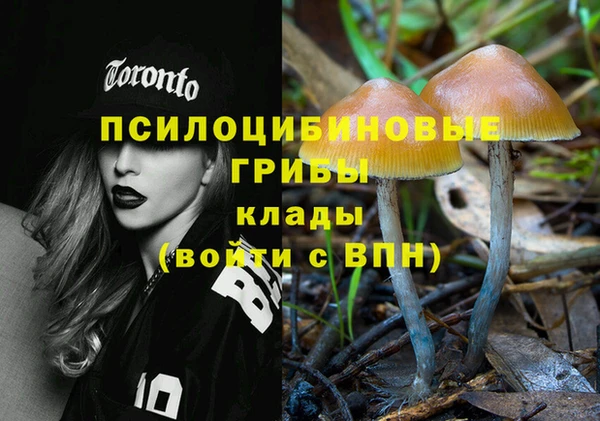 хмурый Верея