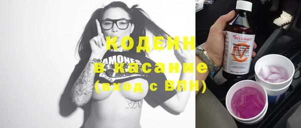 хмурый Верея