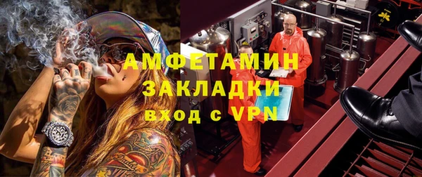 хмурый Верея