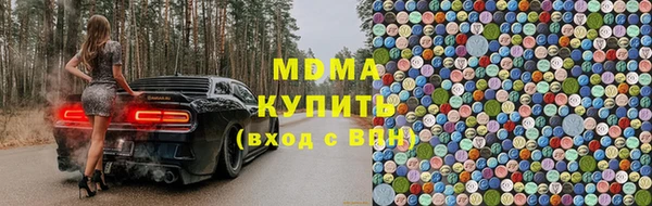 хмурый Верея