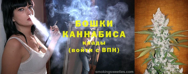 бошки Бронницы