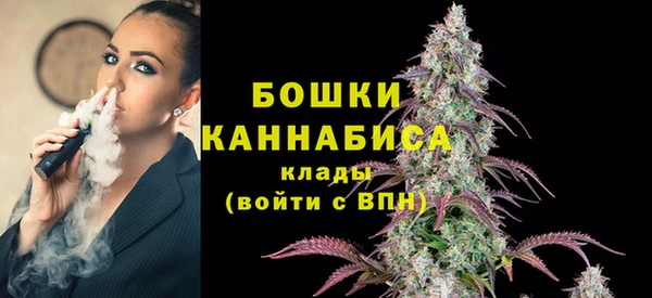 хмурый Верея