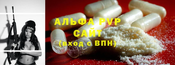 хмурый Верея